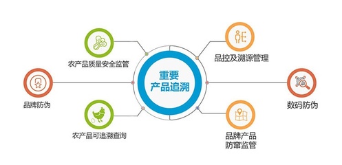 二維碼防偽溯源 賦能品牌管理與提升消費者防偽意識的雙重利器